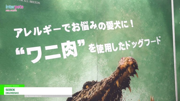 [Interpets 2023] SEBEK - INUMESHI